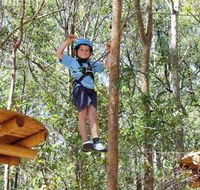 TreeTops Newcastle - Accommodation Burleigh
