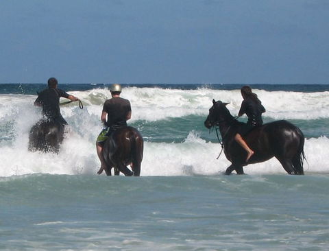 Pegasus Park Equestrian Centre - Accommodation Burleigh 0