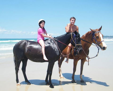 Pegasus Park Equestrian Centre - Accommodation Burleigh 1