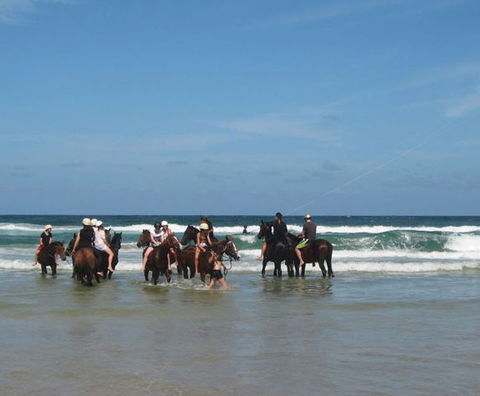 Pegasus Park Equestrian Centre - Accommodation Burleigh 2