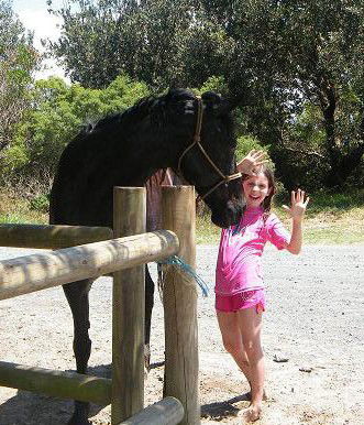 Pegasus Park Equestrian Centre - Accommodation Burleigh 3