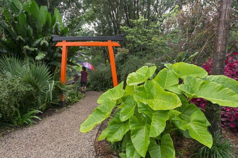 Crystal Castle & Shambhala Gardens - Accommodation Burleigh 11