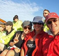 Byron Bay Whale Watching - Accommodation Burleigh