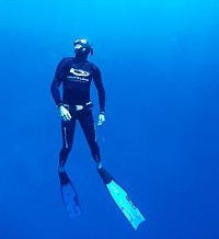 Byron Bay Dive Centre - Accommodation Burleigh 1