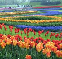 Botanica World Discoveries - Accommodation Burleigh