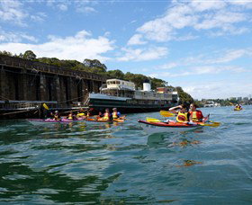 Natural Wanders - Accommodation Burleigh 5