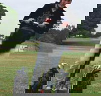 Segway Tours Australia - Accommodation Burleigh