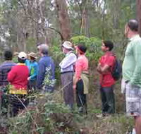 Boronia Tours - Accommodation Burleigh