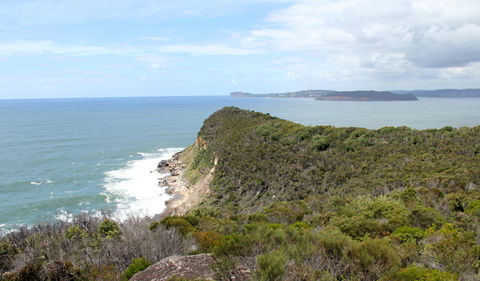 Box Head Track - Accommodation Burleigh 2