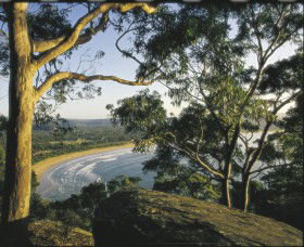 Ocean Beach Umina - Accommodation Burleigh 0