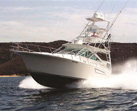 1300 Big Fish - Accommodation Burleigh 0