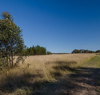 Scheyville horse riding trails - Accommodation Burleigh