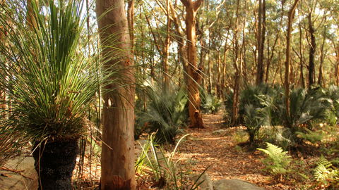 Bouddi National Park - Accommodation Burleigh 1