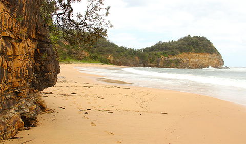 Bouddi Coastal Walk - Accommodation Burleigh 1