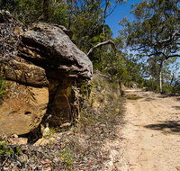 Canoelands Ridge walking track - Accommodation Burleigh