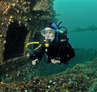 Ex-Hmas Adelaide Dive Site - Accommodation Burleigh