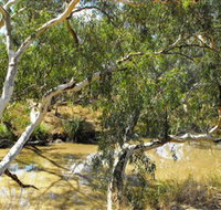 Quilberry Creek Fishing - Accommodation Burleigh