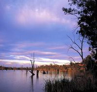 Loch Luna Game Reserve and Moorook Game Reserve - Accommodation Burleigh