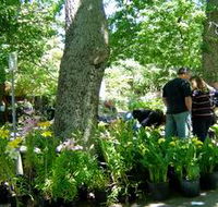 The Stirling Market - Accommodation Burleigh