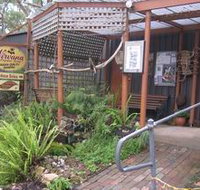 Nirvana Organic Produce and Farm - Accommodation Burleigh