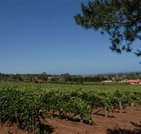 Grancari - Accommodation Burleigh