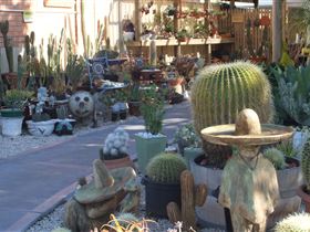 Cactus Creations - Accommodation Burleigh 0