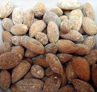 Almondco Almond Hut - Accommodation Burleigh