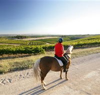 Kidman Trail - Accommodation Burleigh