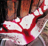 Cradle of Hills McLaren Vale Winery - Accommodation Burleigh