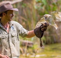 Territory Wildlife Park - Accommodation Burleigh