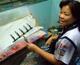 Reidy's Fishing Lures - Accommodation Burleigh 1