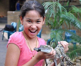 Crocodylus Park - Accommodation Burleigh 1