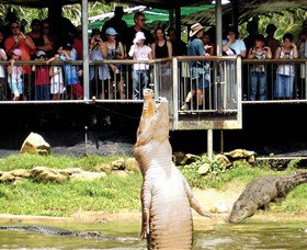 Crocodylus Park - Accommodation Burleigh 0