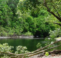 Broadwater Abergowrie State Forest - Accommodation Burleigh