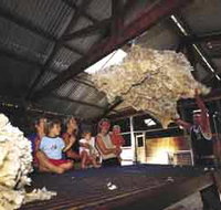 Shear Outback the Australian Shearers Hall of Fame - Accommodation Burleigh