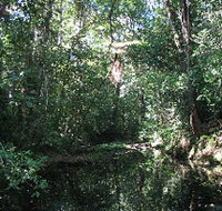 Misty Mountains Wilderness Walking Tracks - Accommodation Burleigh