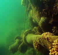Wreck Diving at Magnetic Island - Accommodation Burleigh