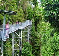 Mamu Tropical Skywalk - Accommodation Burleigh