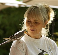 Simply Tomatoes - Accommodation Burleigh