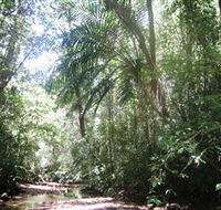 Mount Lewis National Park - Accommodation Burleigh