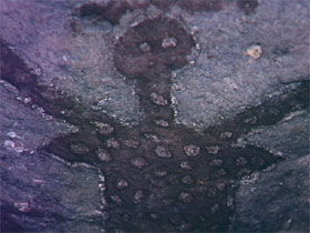  Accommodation Burleigh