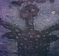 Quinkan Reserves Ancient Rock Art - Accommodation Burleigh