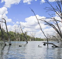 Murrumbidgee Valley National Park - Accommodation Burleigh