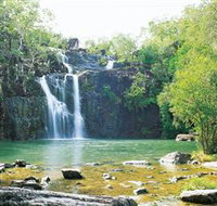 Cedar Creek Falls - Accommodation Burleigh