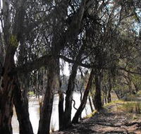 Mia Forest Drives Narrandera - Accommodation Burleigh
