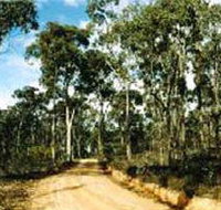 Paddys Ranges State Park - Accommodation Burleigh