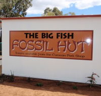Big Fish Fossil Hut at Peak Hill - Accommodation Burleigh