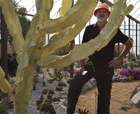 Cactus Country - Accommodation Burleigh 0