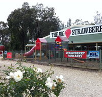 The Big Strawberry - Accommodation Burleigh