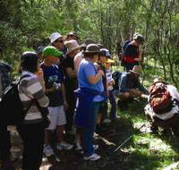 Warrumbungle National Park Discovery Program - Accommodation Burleigh
